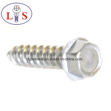 Hexagon Head Slotted Screw/Drywall Screw with High Quality